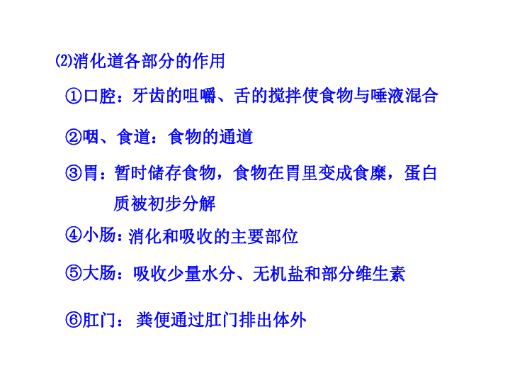 第二节  人体的消化与吸收(第一课时)（苏教版七年级下）