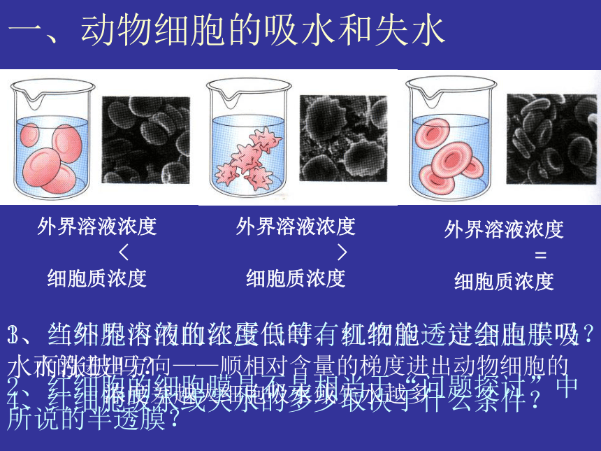 云南省绥江县第一中学人教版必修一生物课件：4.1物质跨膜运输的实例 （共21张PPT）