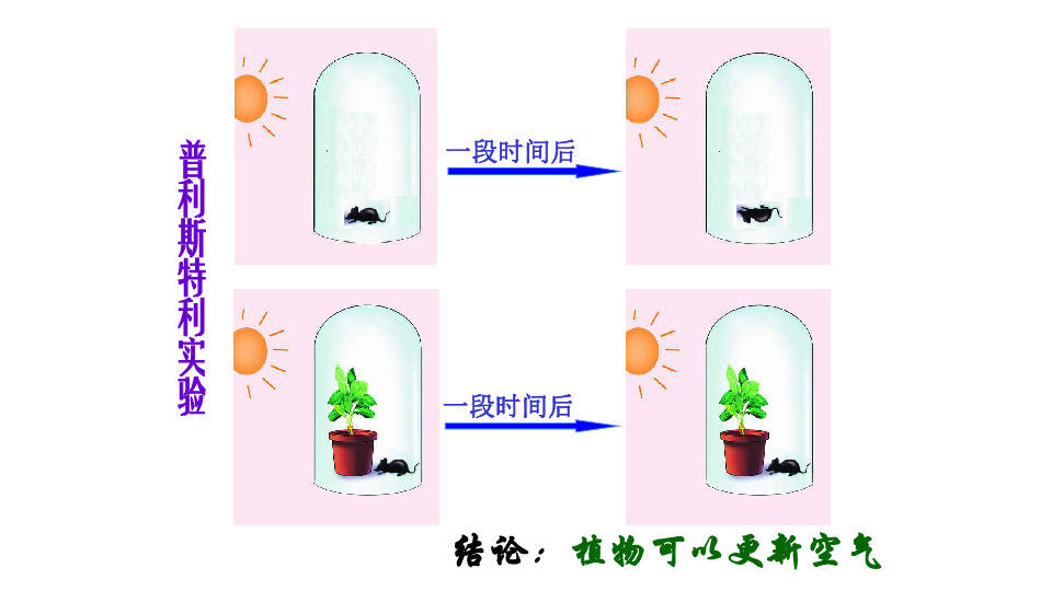 人教版生物必修一课件 5.4.2 光合作用的原理和应用