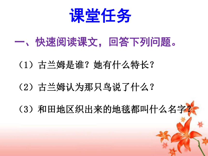 语文六年级下新教版（汉语）3《和田地毯》课件（14张）