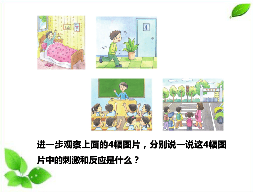 苏教版（2017秋）五年级上册科学17刺激与反应 课件（24ppt）