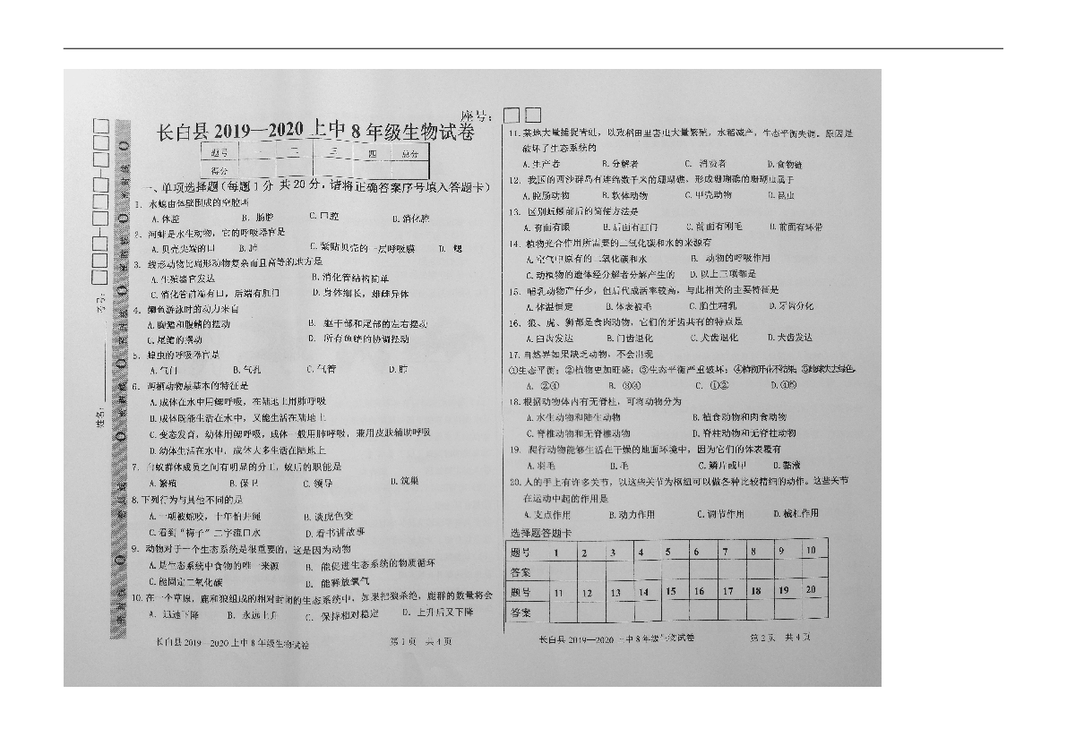 吉林省白山市长白县2019-2020学年八年级上学期期中考试生物试题（图片版，含答案）
