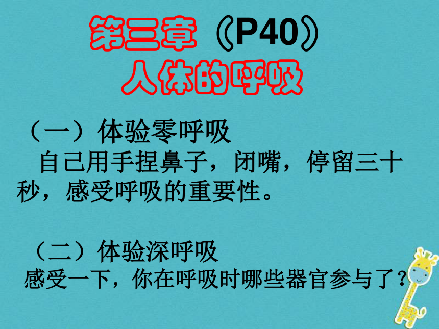 广东省中山市七年级生物下册第四单元第三章人体的呼吸（呼吸道对空气的处理）课件（新版）17张PPT            新人教版