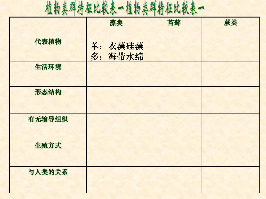 苏教版八年级生物上册第14章第1节五彩缤纷的植物世界课件共33张ppt