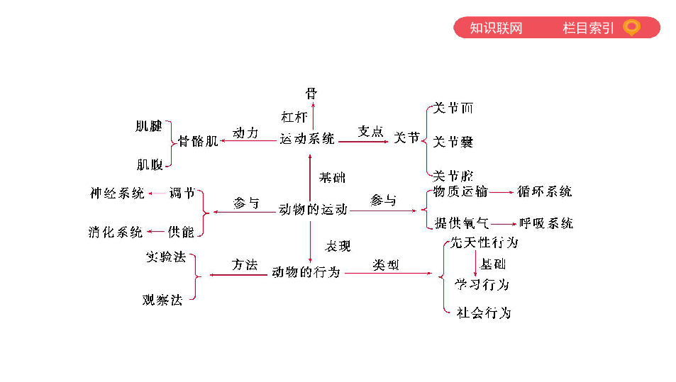 2020版中考生物一轮复习（泰安专版）专题四　生物的多样性课件（38张PPT）