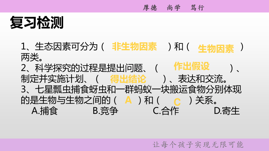 人教版七年级生物上册  第二章第二节生物与环境组成生态系统 教学课件(共42张PPT)