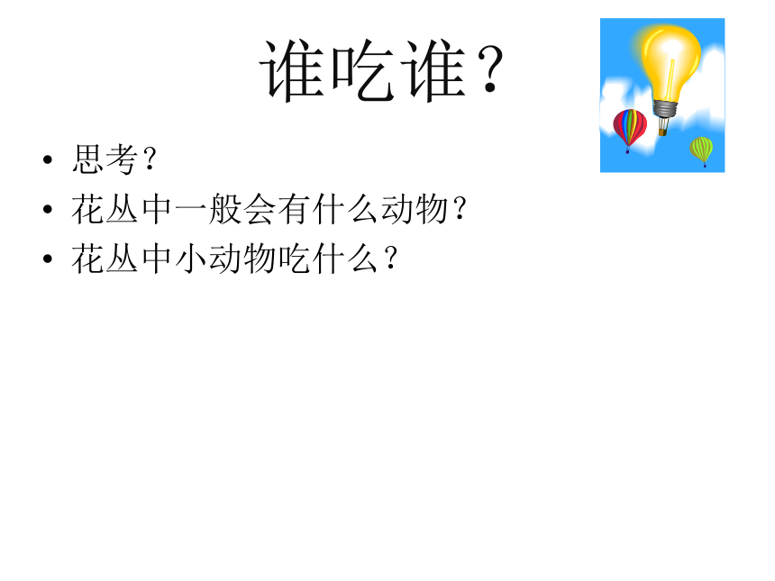 教科版五年级上册科学  1.5食物链和食物网    课件（17ppt）