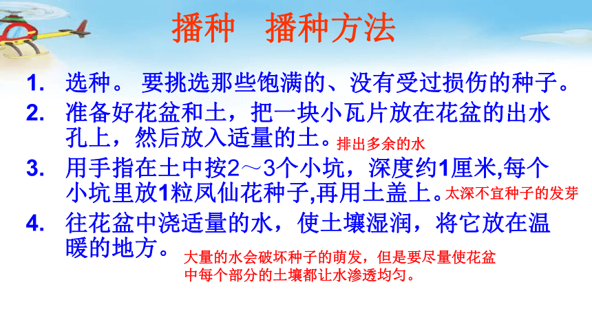 第二课 种植我们的植物 课件