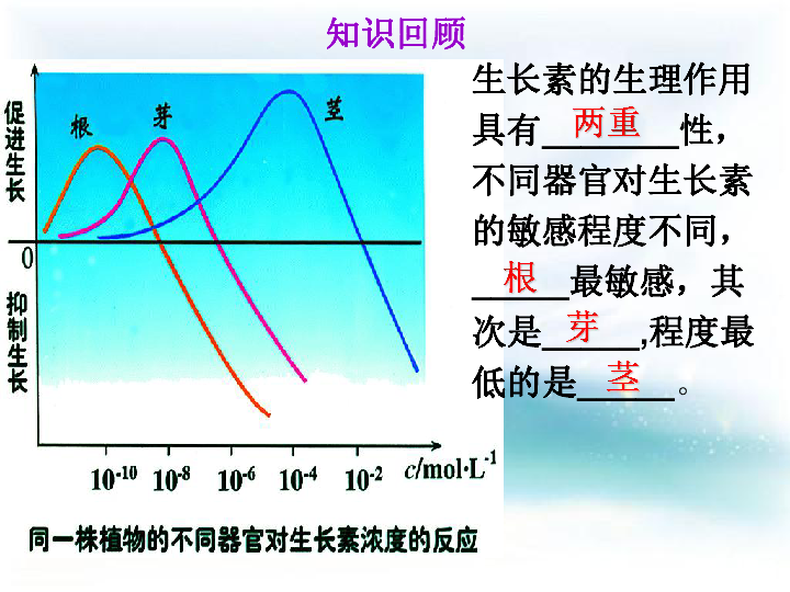 人教版高二生物必修三 第三章 第三节 其他植物激素 （共26张PPT）