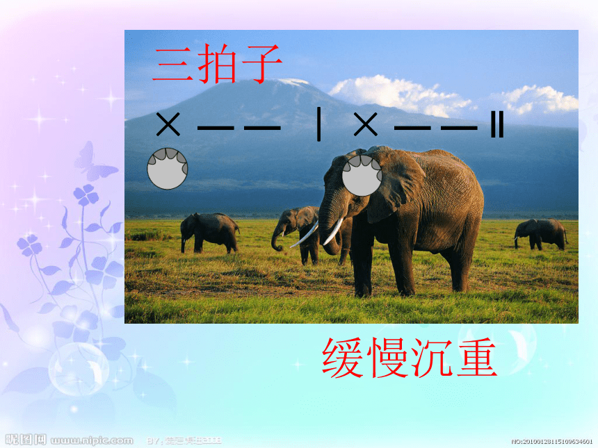 可爱的小象 课件  (1)