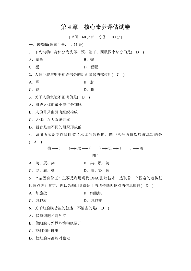 华师大版科学七年级上 第4章生物体的结构层次 核心素养评估试卷（word版有答案）