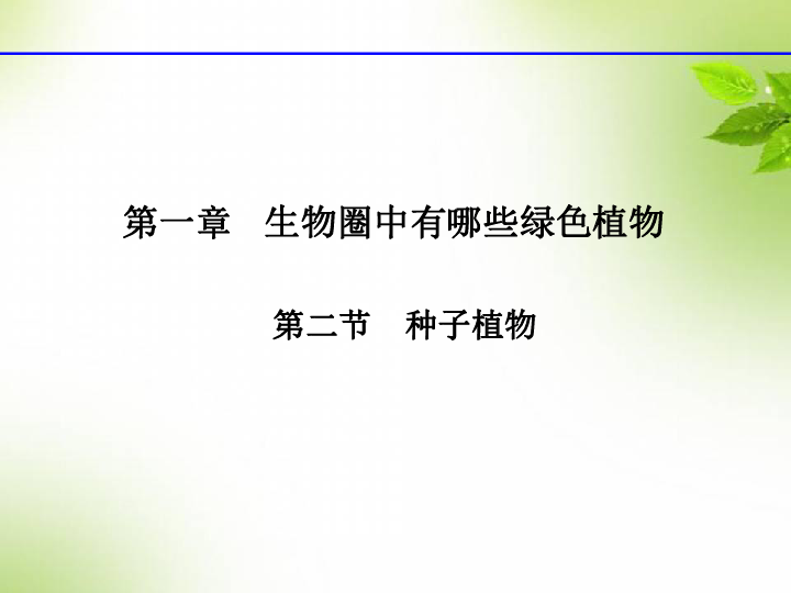 人教版七年级上册生物 3.1.2 种子植物课件（21张PPT）