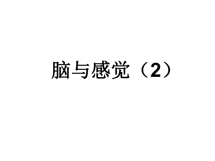 牛津上海版七上科学 11.5.2脑能接受和分析各种信息（课件 26张PPT）