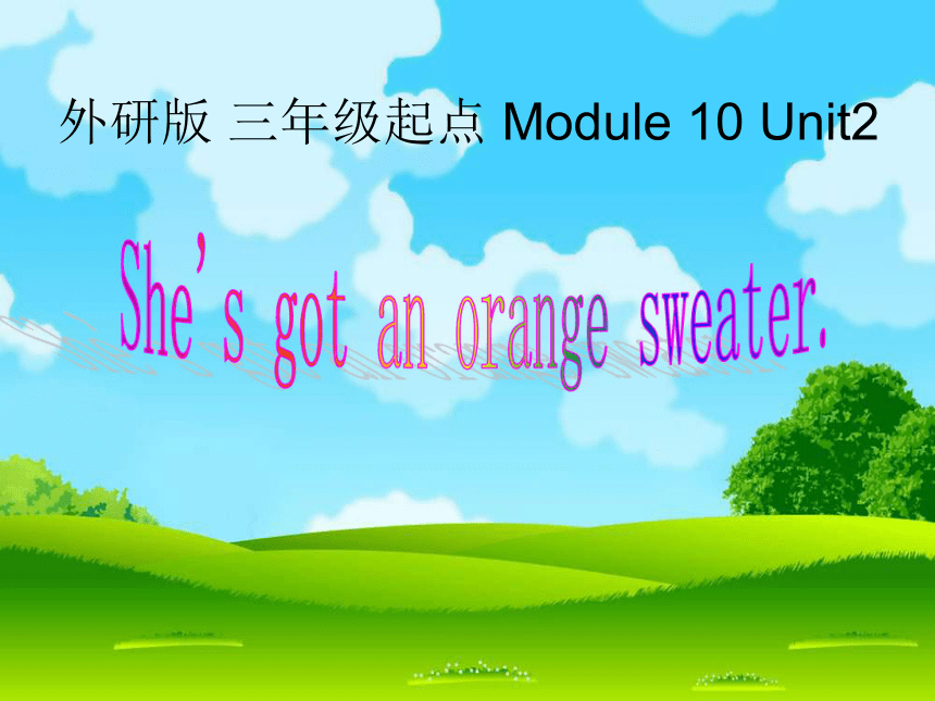 英语三年级下外研版(三起)Module 10 Unit 2 She’s got an orange sweater课件