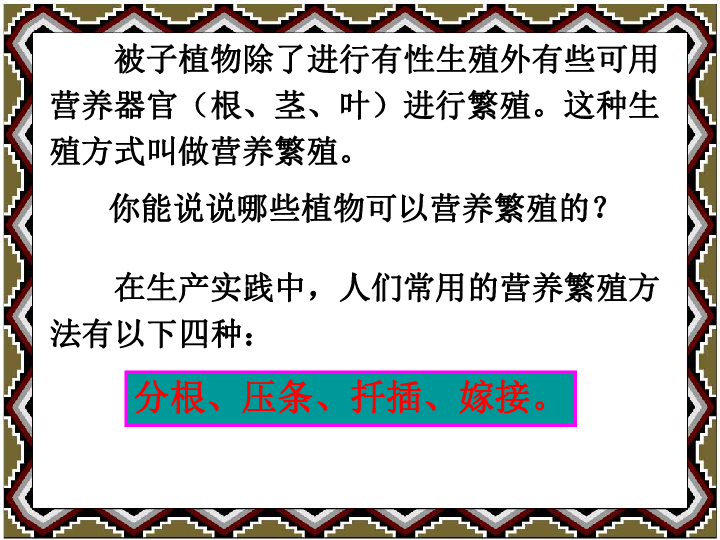 三年级下册科学课件-2.4《植物的多种繁殖方式 》2 北京课改版(共16张PPT)