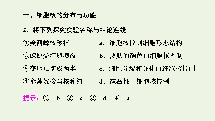 2019_2020年新教材高中生物第3章第3节细胞核的结构和功能课件新人教版必修1