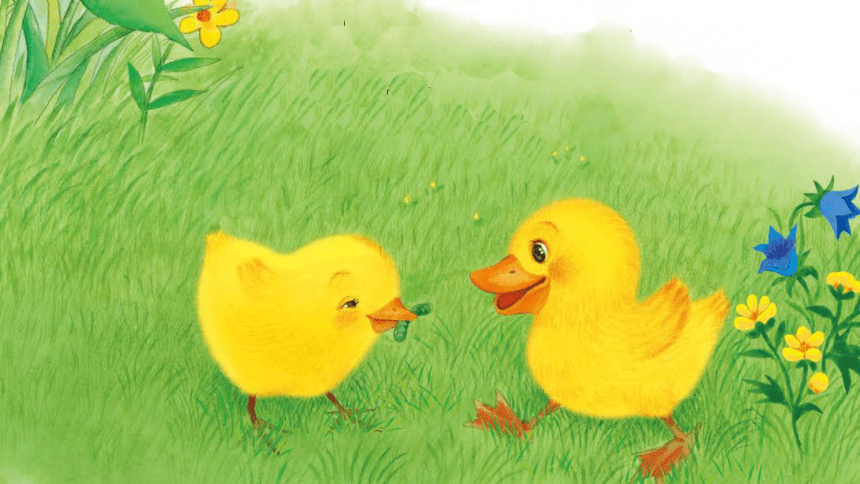 小公鸡和小鸭子漫画图图片