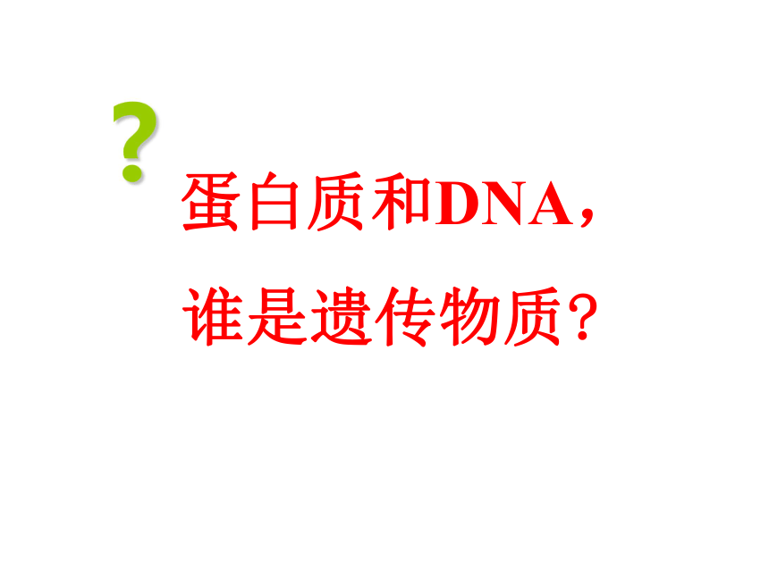 人教版必修二第三章第1节DNA是主要的遗传物质（共29张PPT）