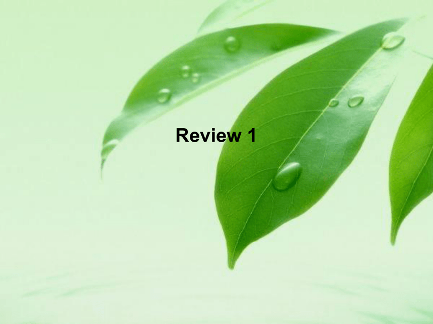 湘鲁版小学英语三年级上册 Review 1 教案