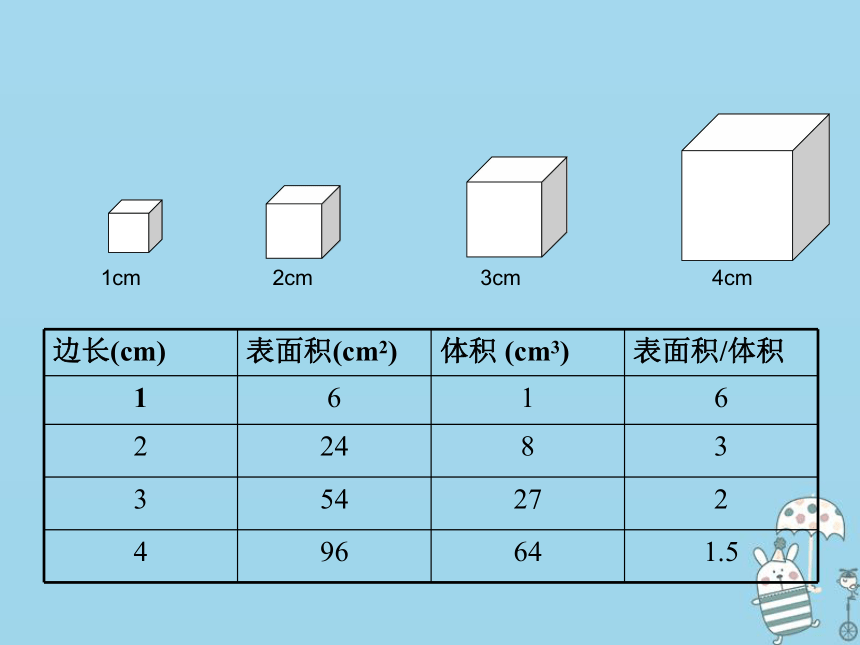 2.2.1细胞通过分裂产生新细胞 课件（24张PPT）