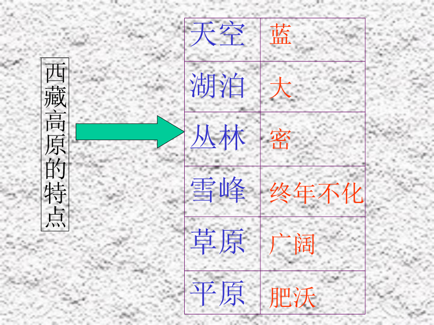 语文三年级上西师版9《西藏高原》课件2