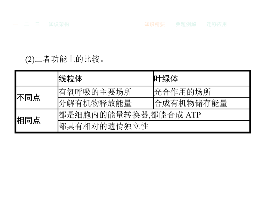 人教版生物必修1同步教学课件：3.2 细胞器——系统内的分工合作