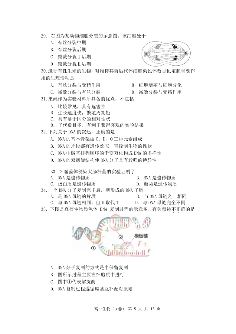 北京市丰台区2020-2021学年高一下学期期中联考生物试题（B卷）     含答案