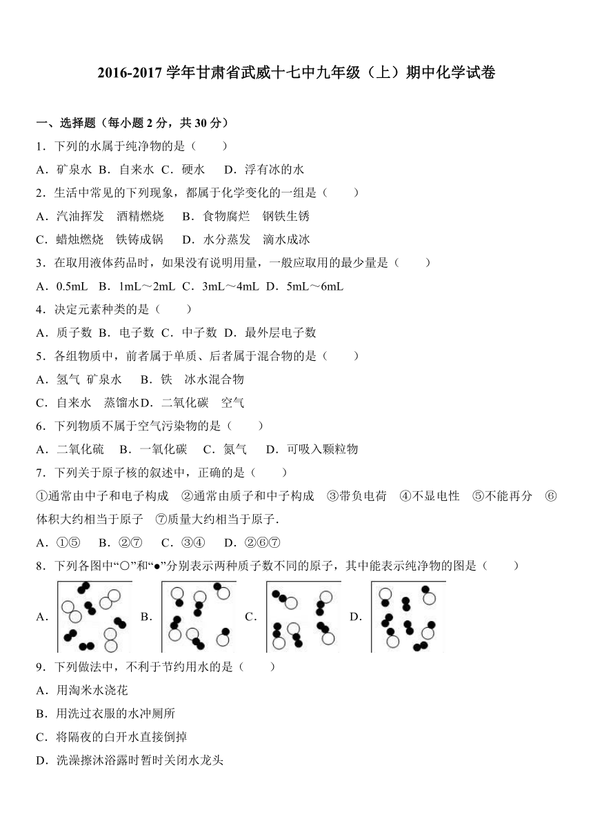 甘肃省武威十七中2016-2017学年九年级（上）期中化学试卷（解析版）