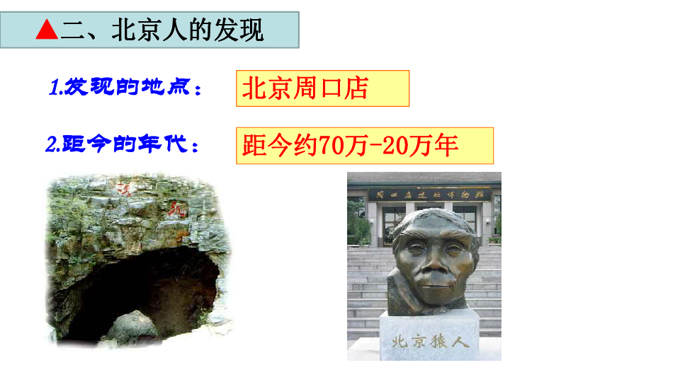 第1课 中国境内早期人类的代表--北京人(共20张PPT)