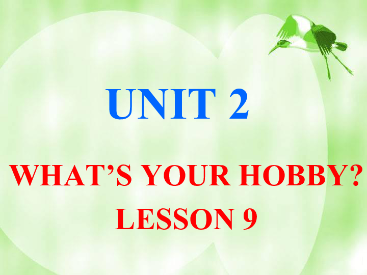 Unit 2 What's your hobby? Lesson 9 课件(共21张PPT)