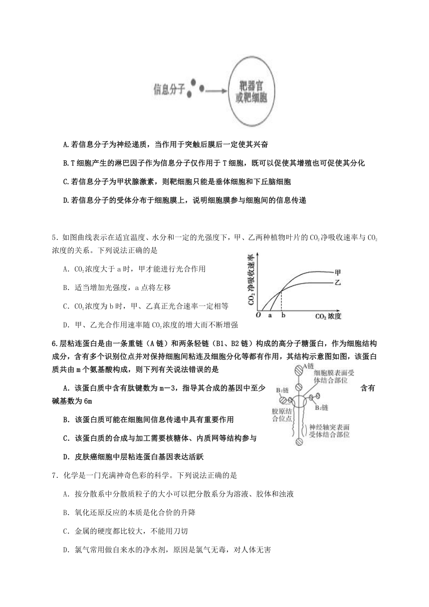 四川省成都市洛带中学2017届高考模拟考试（一）理科综合试题