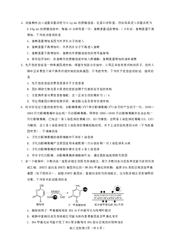 山东省烟台市2020届高三高考适应性练习（一）生物试题