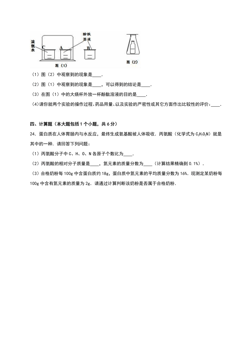 甘肃省庆阳市华池县列宁学校2016-2017学年九年级（上）期中化学试卷（解析版）