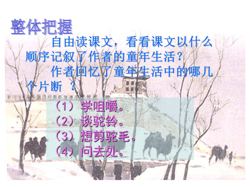 冬阳·童年·骆驼队课件