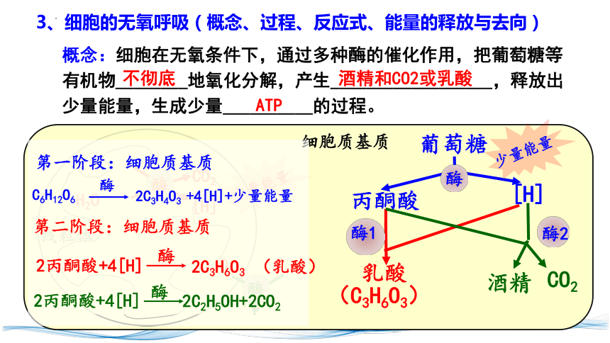 植物不能長期忍受無氧呼吸,其主