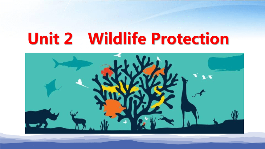 人教版2019高一英语必修二unit2wildlifeprotection词汇教学课件35张