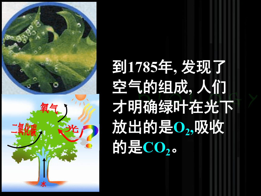 高中生物北师大版必修一第4章4.2.2光能的转换—光合作用 课件