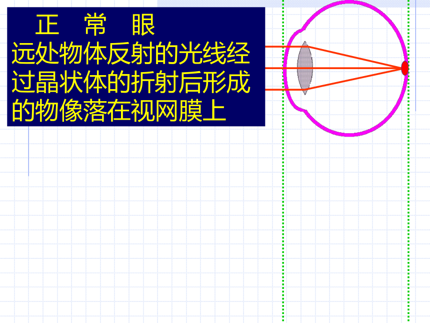 第一章 复习 练习[下学期]