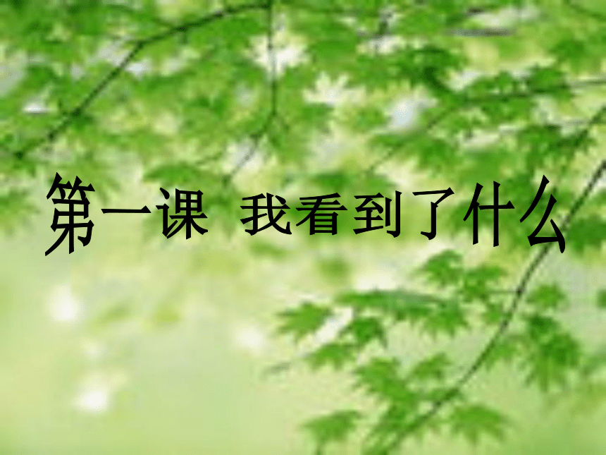 我看见了什么课件