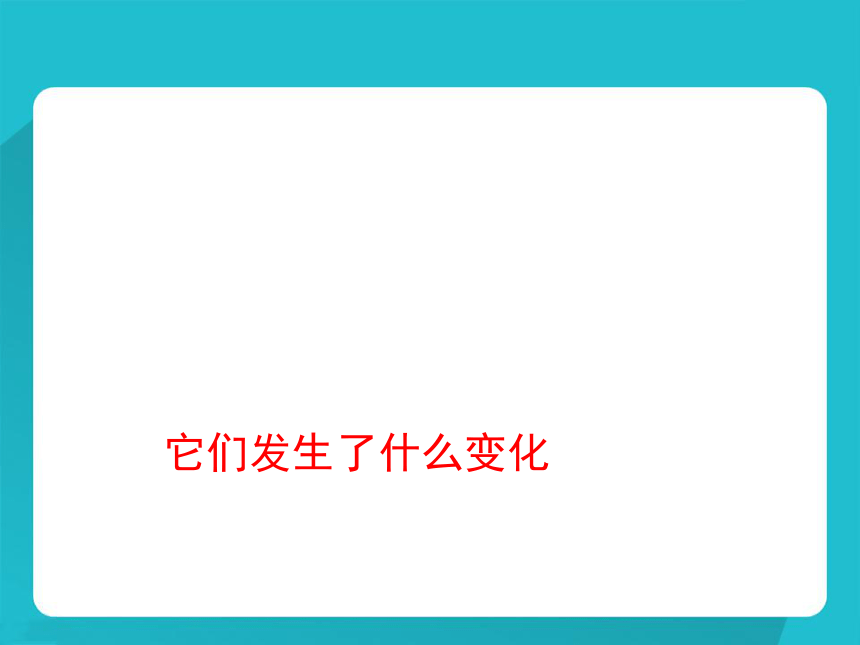 《它们发生了什么变化》课件