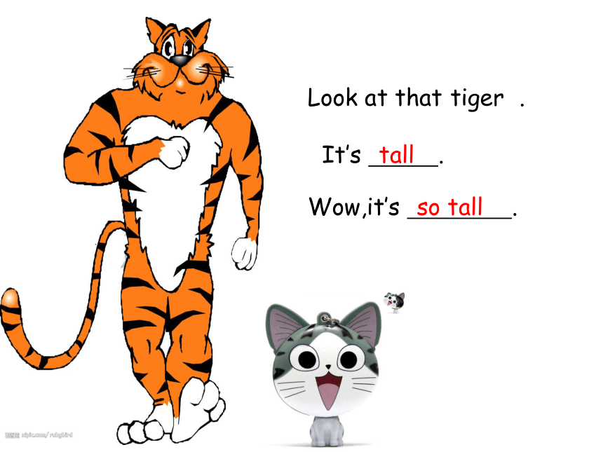 look at the tiger图片