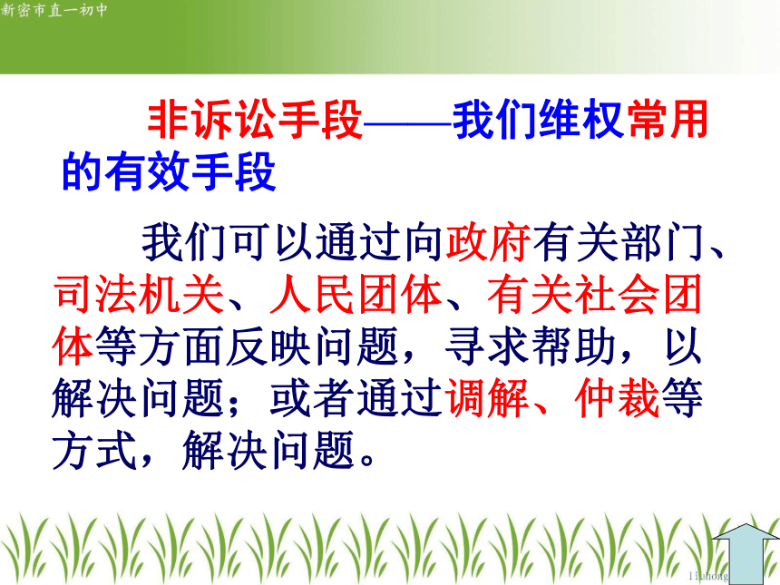 人教版七年级下册第八课第二框善用法律保护自己（共29张PPT）