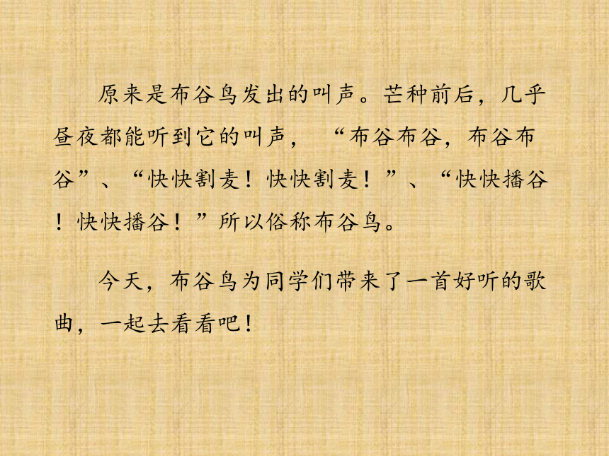 课件预览