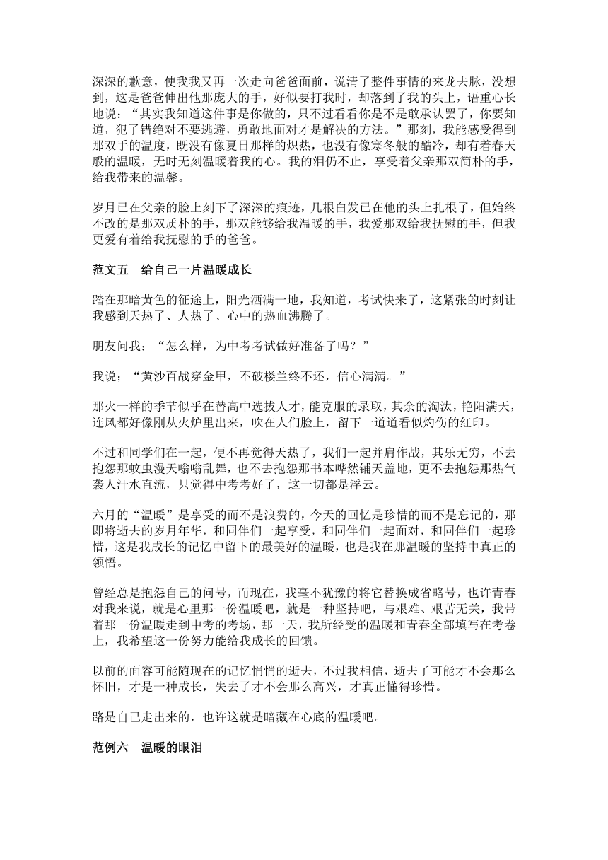 辽宁省鞍山市2013年中考语文作文《温暖》优秀范文（13篇）