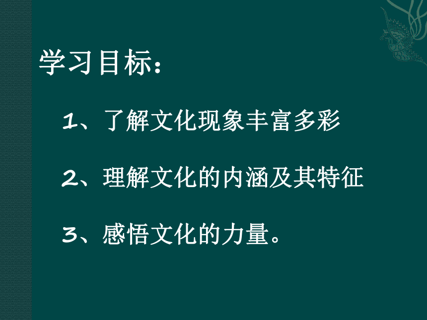 海南省国科园实验学校高中政治必修3  1.1体味文化 课件 （共16张PPT）