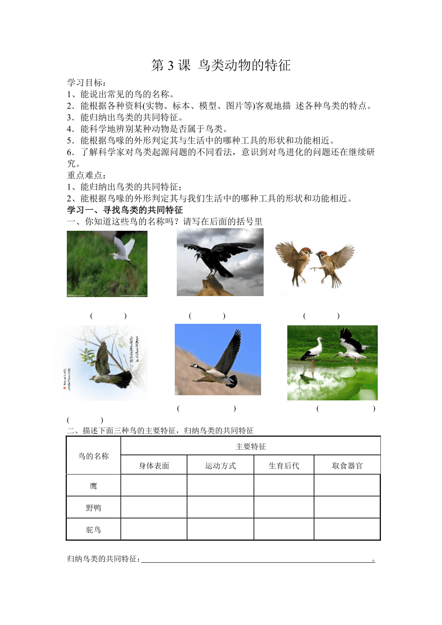 第3课《鸟类动物的特征》学案