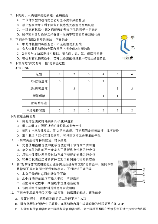 浙江七彩阳光联盟2019届高三上学期第二次联考生物试卷