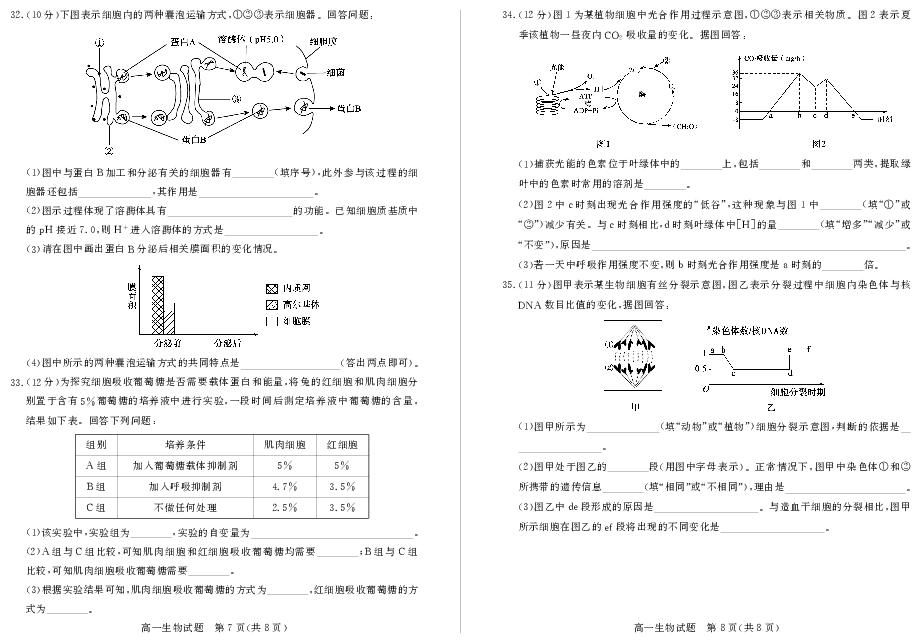 山东省德州市2018-2019学年高一上学期期末考试生物试题 PDF版含答案