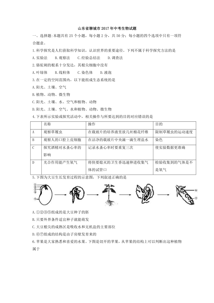 二〇一七年聊城市初中学生学业水平考试 生物试题（word版，含答案）