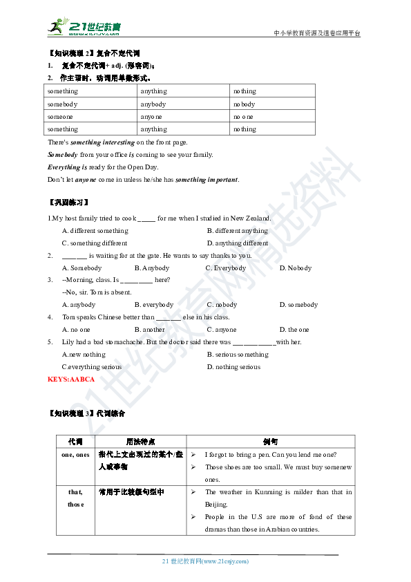 人教新目标2020年中考英语二轮复习学案：专题4 代词